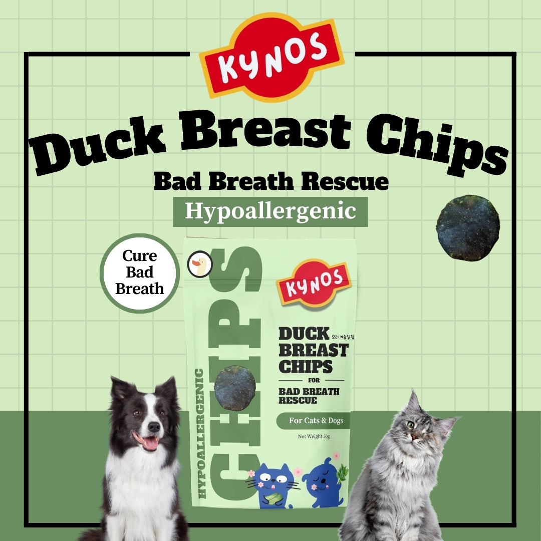 KYNOS - Duck Chips 🦷🪥 Bad Breath (Fresh Breath Formula)