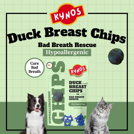 KYNOS - Duck Chips 🦷🪥 Bad Breath (Fresh Breath Formula)